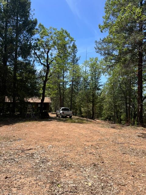 5040 Butterfield Stage Road Georgetown, CA 95634 - Photo 10 of 27 Gallery Image 10