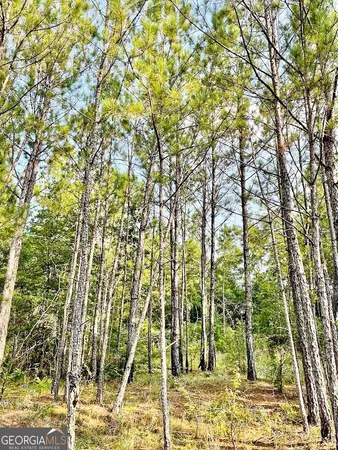 $2,437,200 | 4476 Fulton Mill Road, Macon, GA 31216