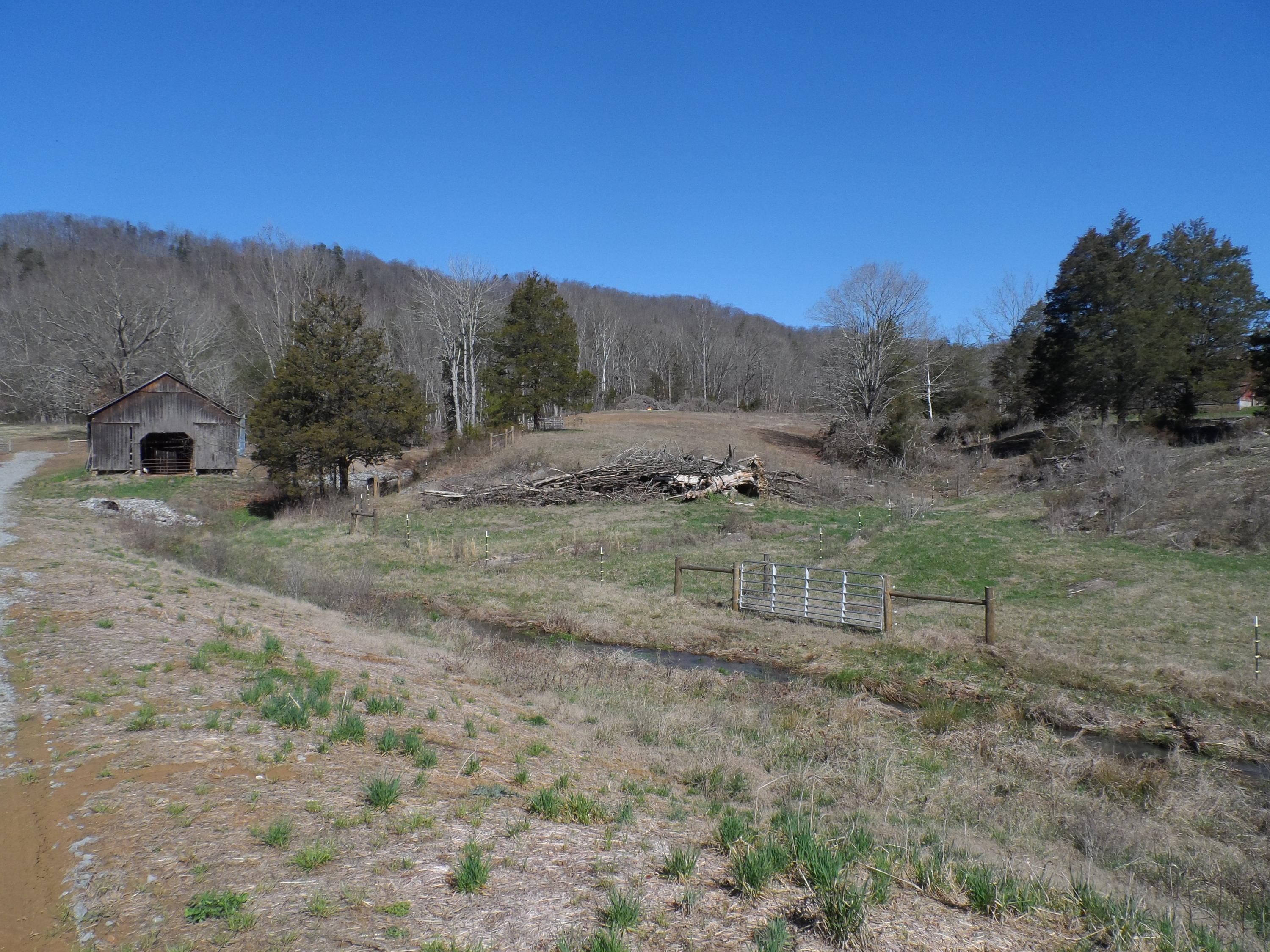 1671 Bull Run Road Luttrell, TN 37779 - Photo 2 of 8 SAM_5301