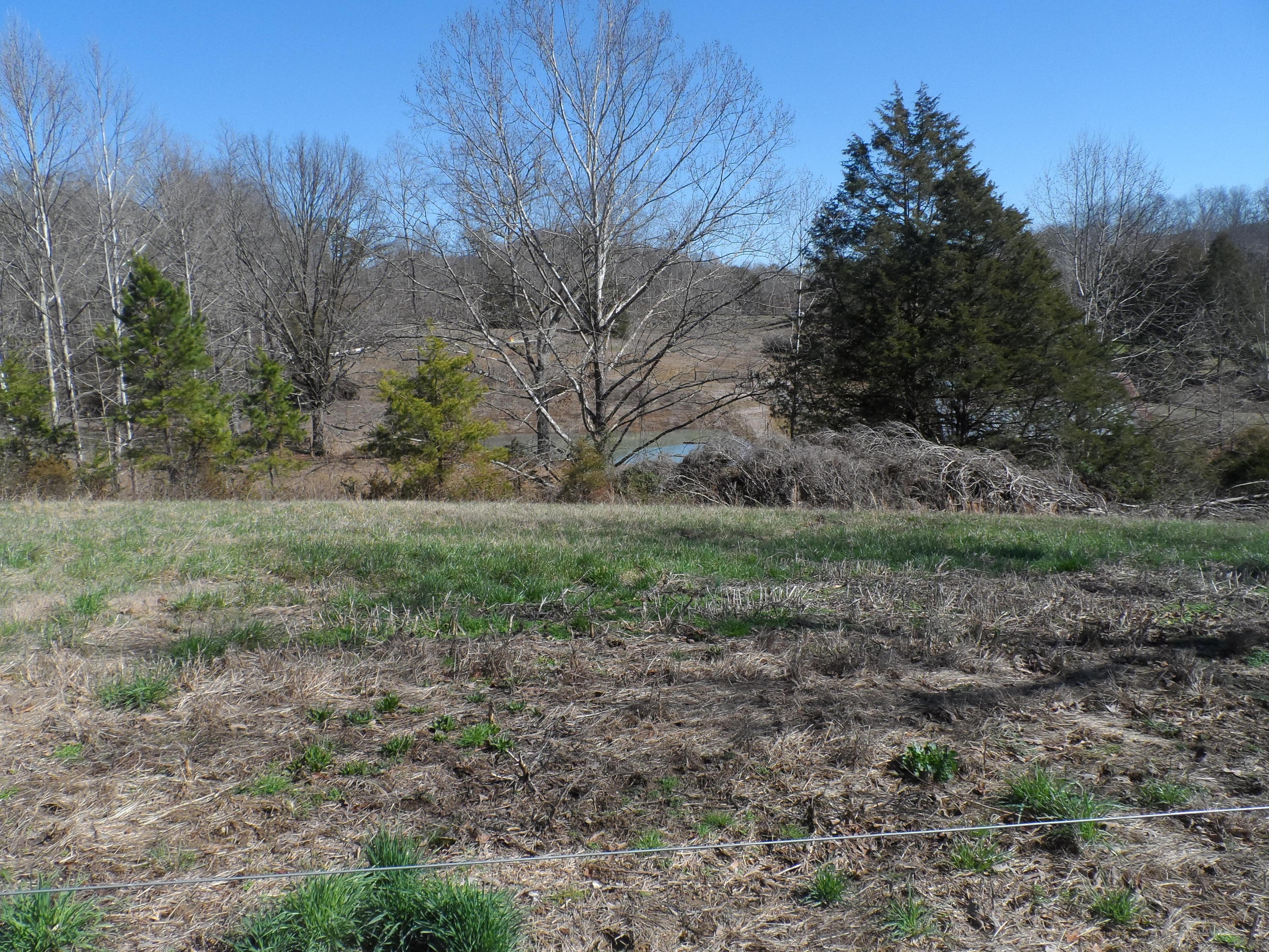 1671 Bull Run Road Luttrell, TN 37779 - Photo 8 of 8 SAM_5311