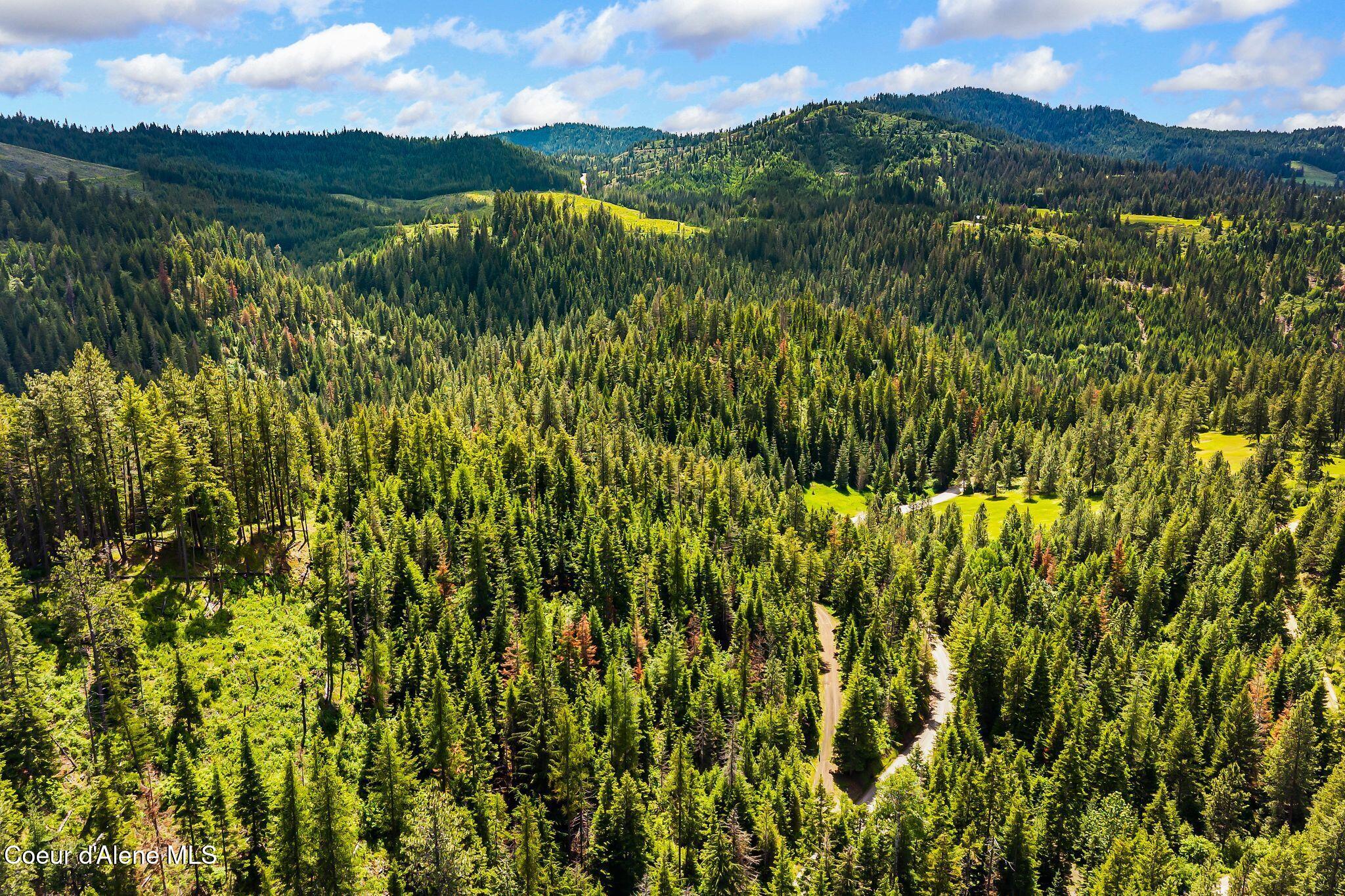 4304 South Elk Road Harrison, ID 83833 - Photo 30 of 39 34_DJI_20260604133232_0202_D