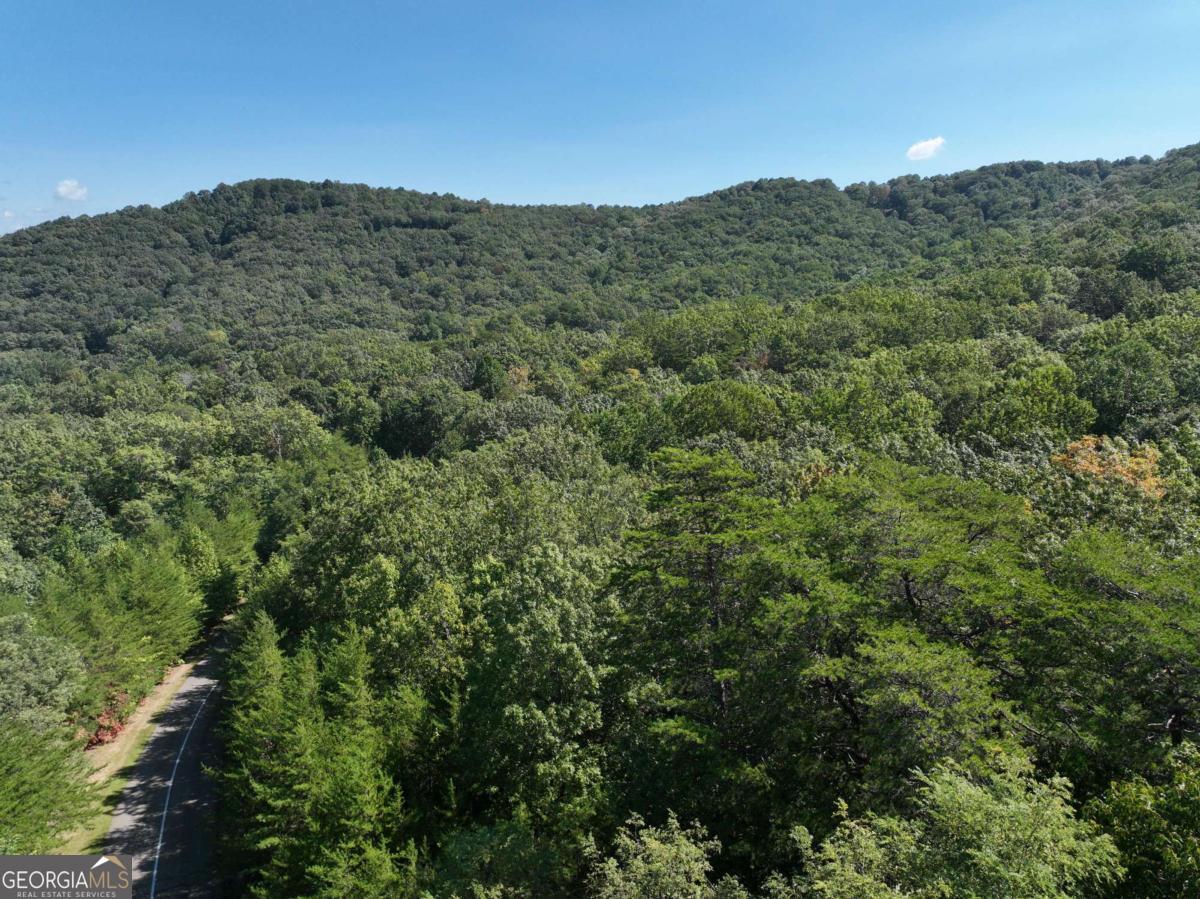 70 St. Andrews Way Jasper, GA 30143 - Photo 17 of 18