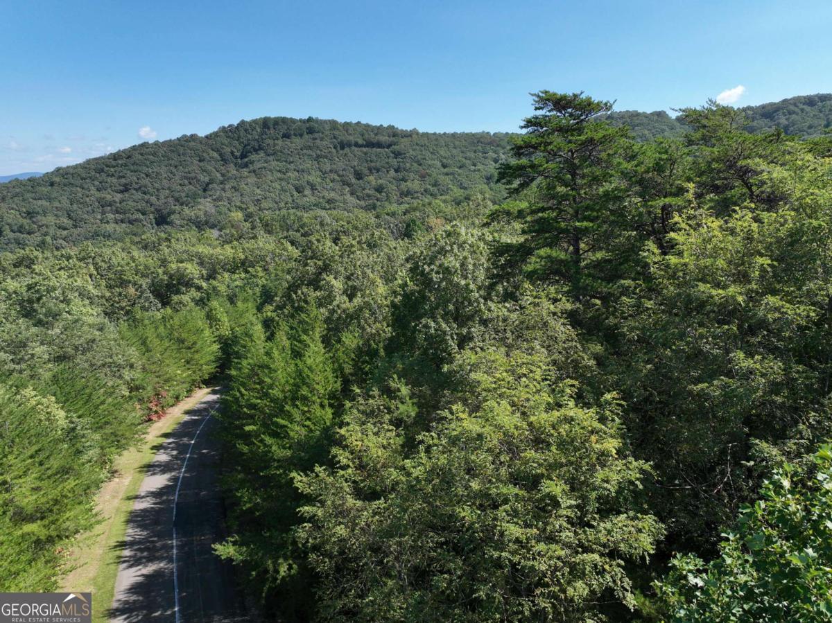 70 St. Andrews Way Jasper, GA 30143 - Photo 6 of 18