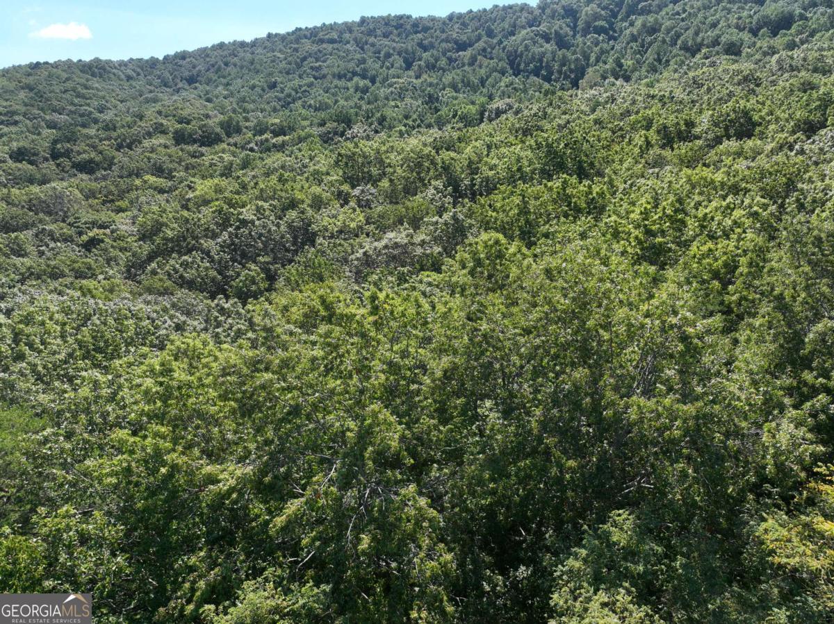 70 St. Andrews Way Jasper, GA 30143 - Photo 7 of 18