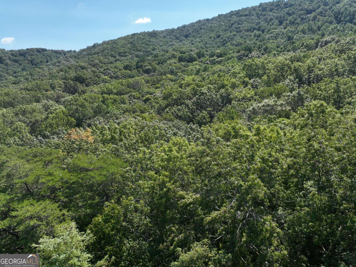 70 St. Andrews Way Jasper, GA 30143 - Photo 8 of 18