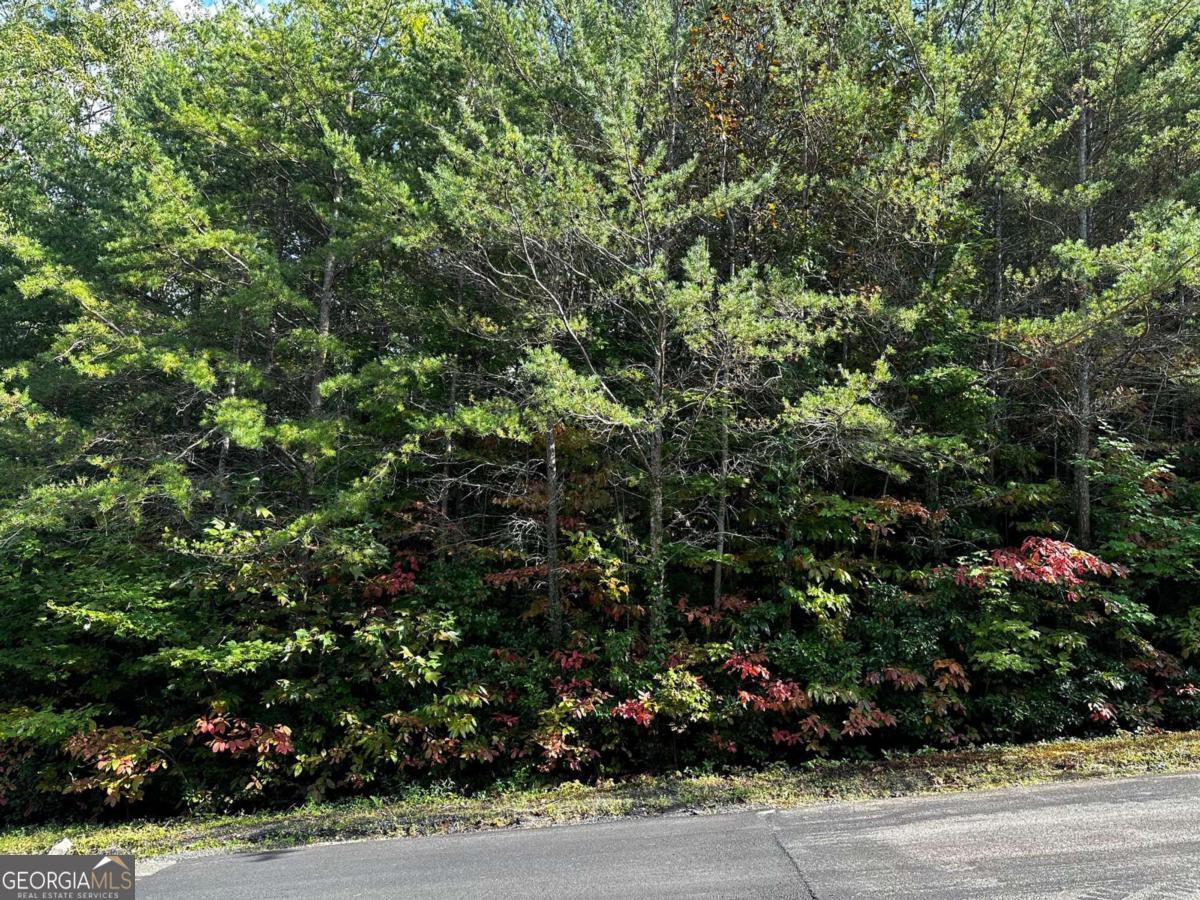 70 St. Andrews Way Jasper, GA 30143 - Photo 10 of 18