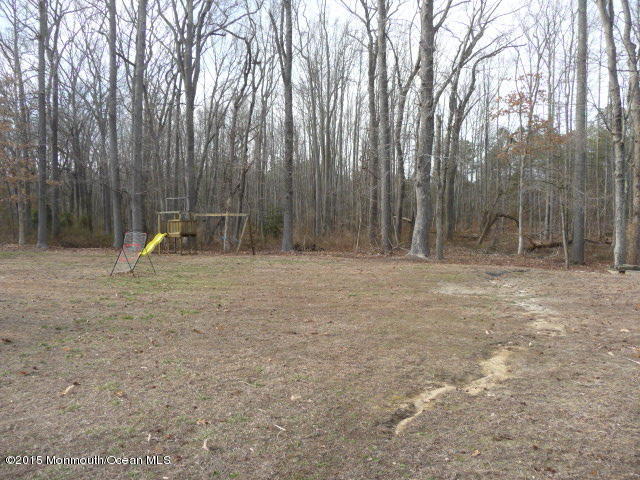 169 Long Swamp Road New Egypt, NJ 08533 - Photo 26 of 27 P1070438.JPG