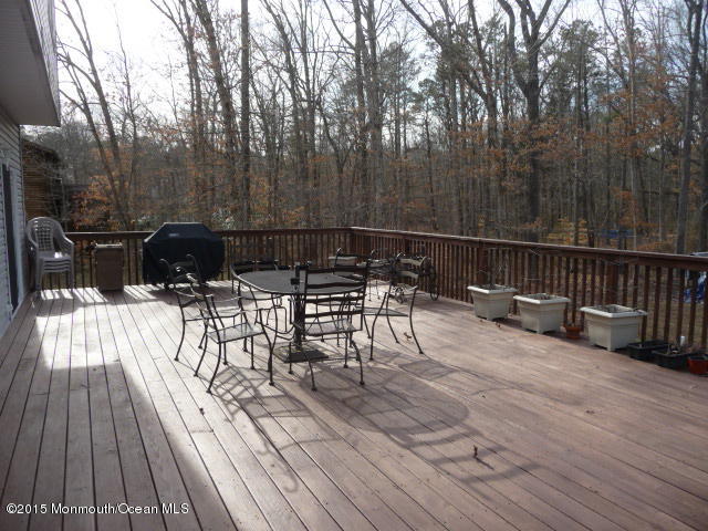 169 Long Swamp Road New Egypt, NJ 08533 - Photo 27 of 27 P1070442.JPG
