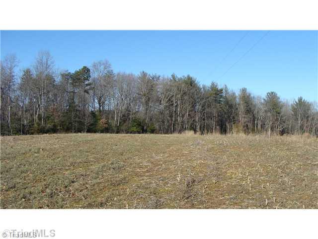 360 Lewis Elkin, NC 28621 - Photo 2 of 11 Land. Open fields to build on or grow in!