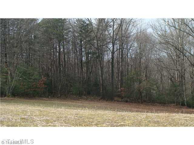 360 Lewis Elkin, NC 28621 - Photo 11 of 11 Land. Parklike woodland setting with room to grow some grapes or kids!!
