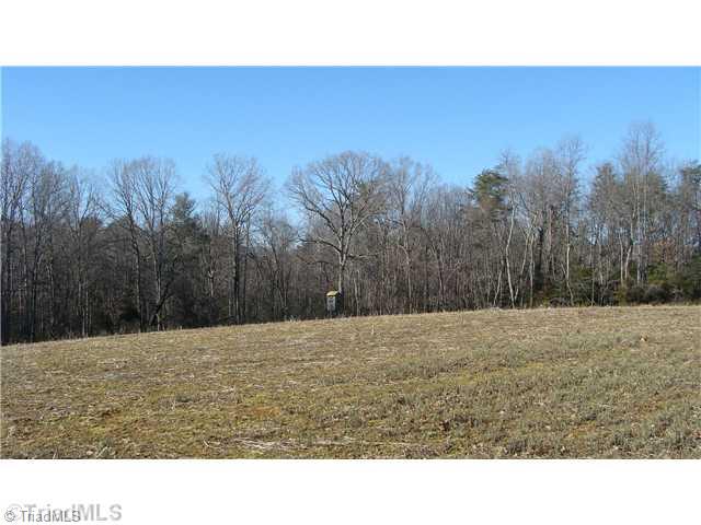 360 Lewis Elkin, NC 28621 - Photo 3 of 11 Land. Hunters Dream