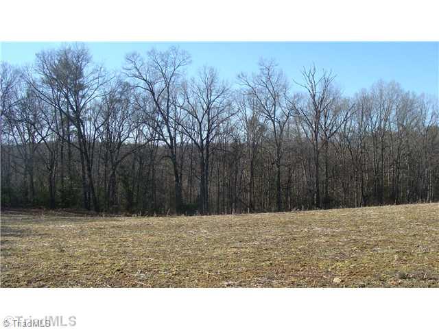 360 Lewis Elkin, NC 28621 - Photo 4 of 11 Land. Rolling field joins your private woodlands