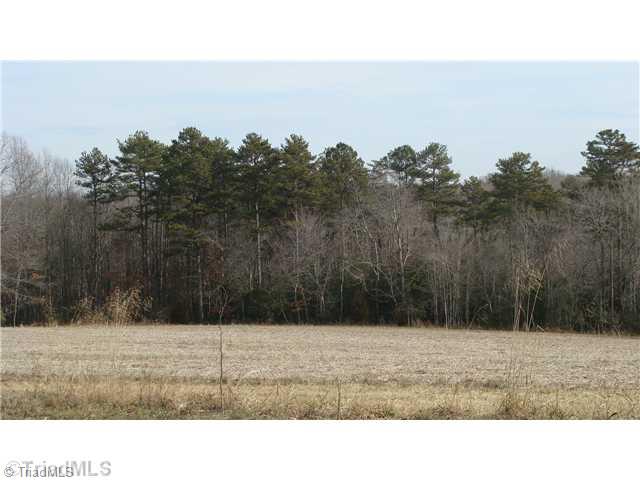360 Lewis Elkin, NC 28621 - Photo 10 of 11 Land. Come Home, Convenient to Stone Mountain State Park and a multitude of Vineyards and Wineries for your pleasure.