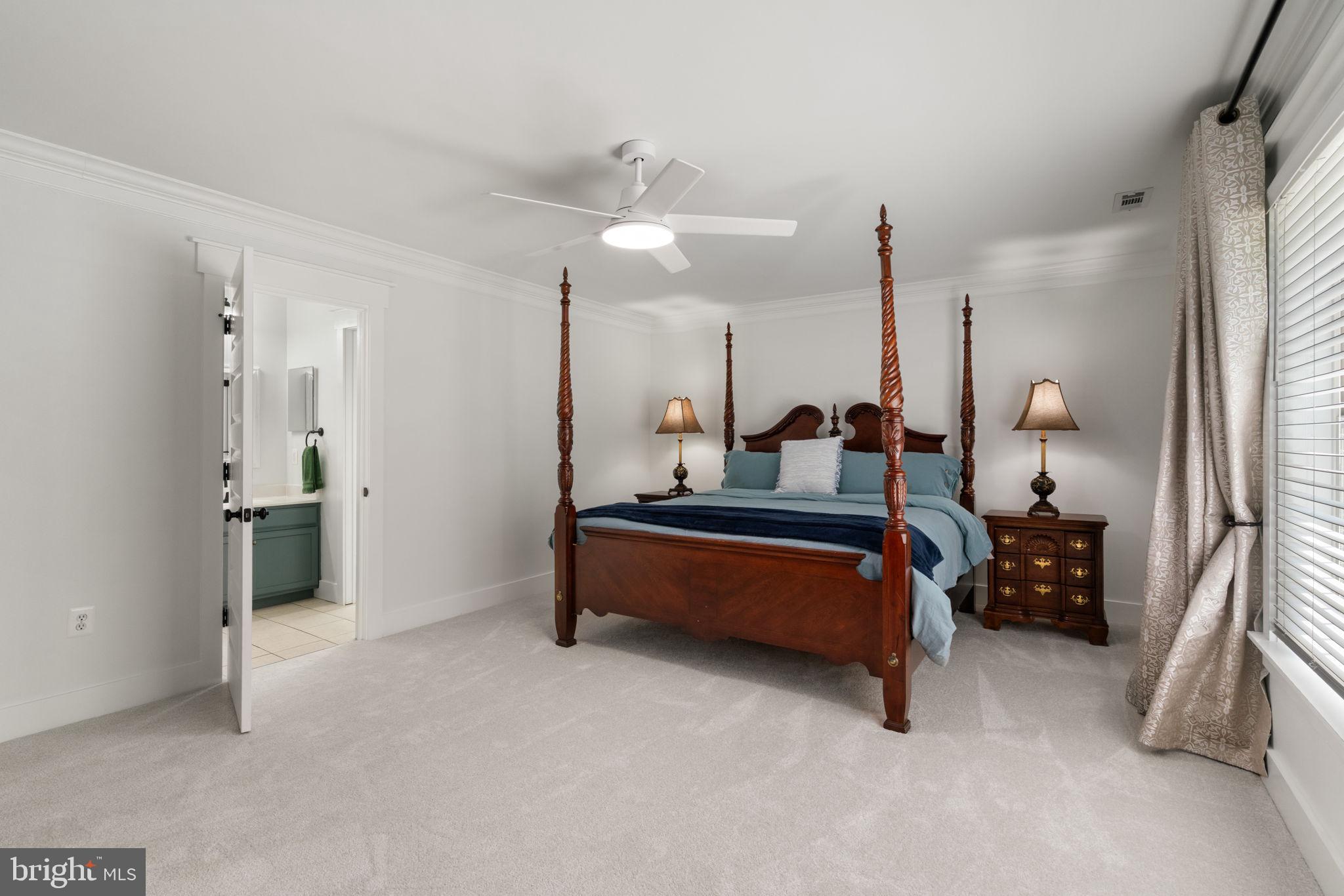 208 Markham Farm Road Front Royal, VA 22630 - Photo 39 of 85 Primary Bedroom with fresh carpet and ceiling fan