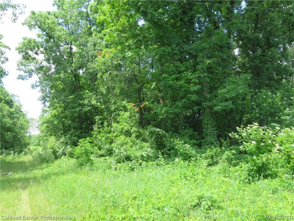 0 South Morrice Road Morrice, MI 48857 - Photo 3 of 7