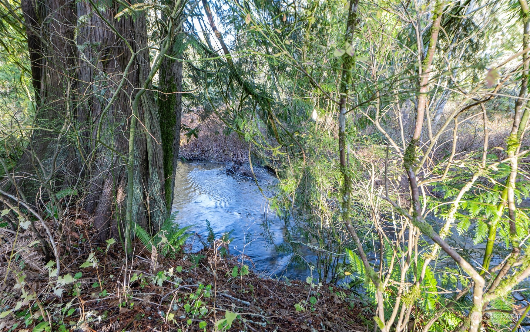3972 Friday Creek Road Burlington, WA 98233 - Photo 25 of 39 Gallery Image 25