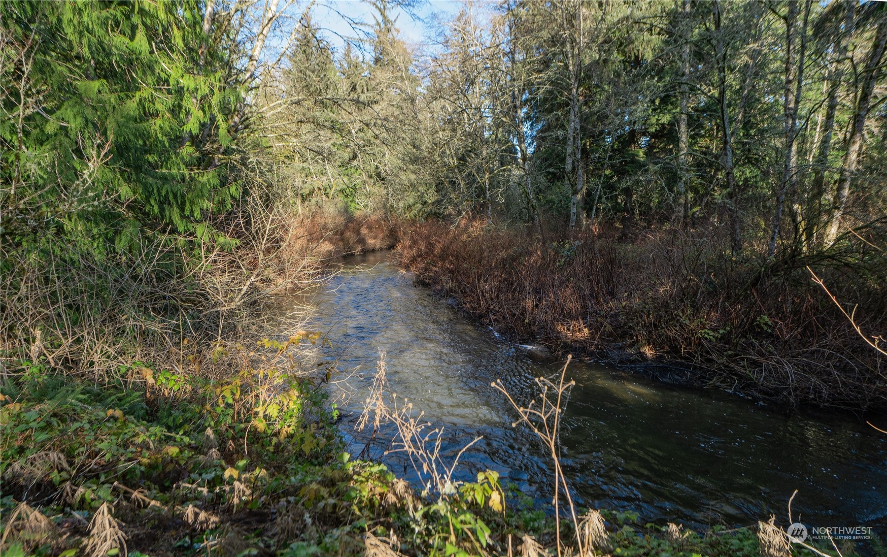 3972 Friday Creek Road Burlington, WA 98233 - Photo 34 of 39 Gallery Image 34