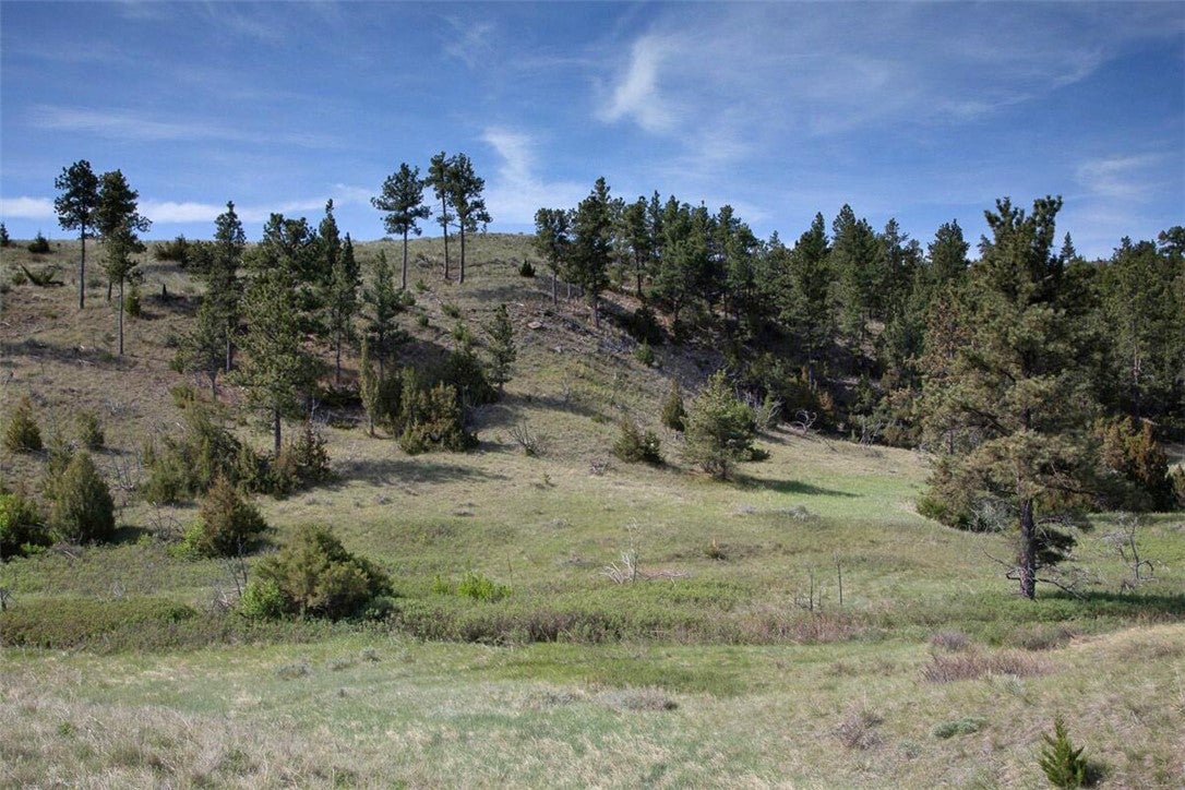 Tba Buffalo Trail Road Molt, MT 59057 - Photo 19 of 19 Gallery Image 19