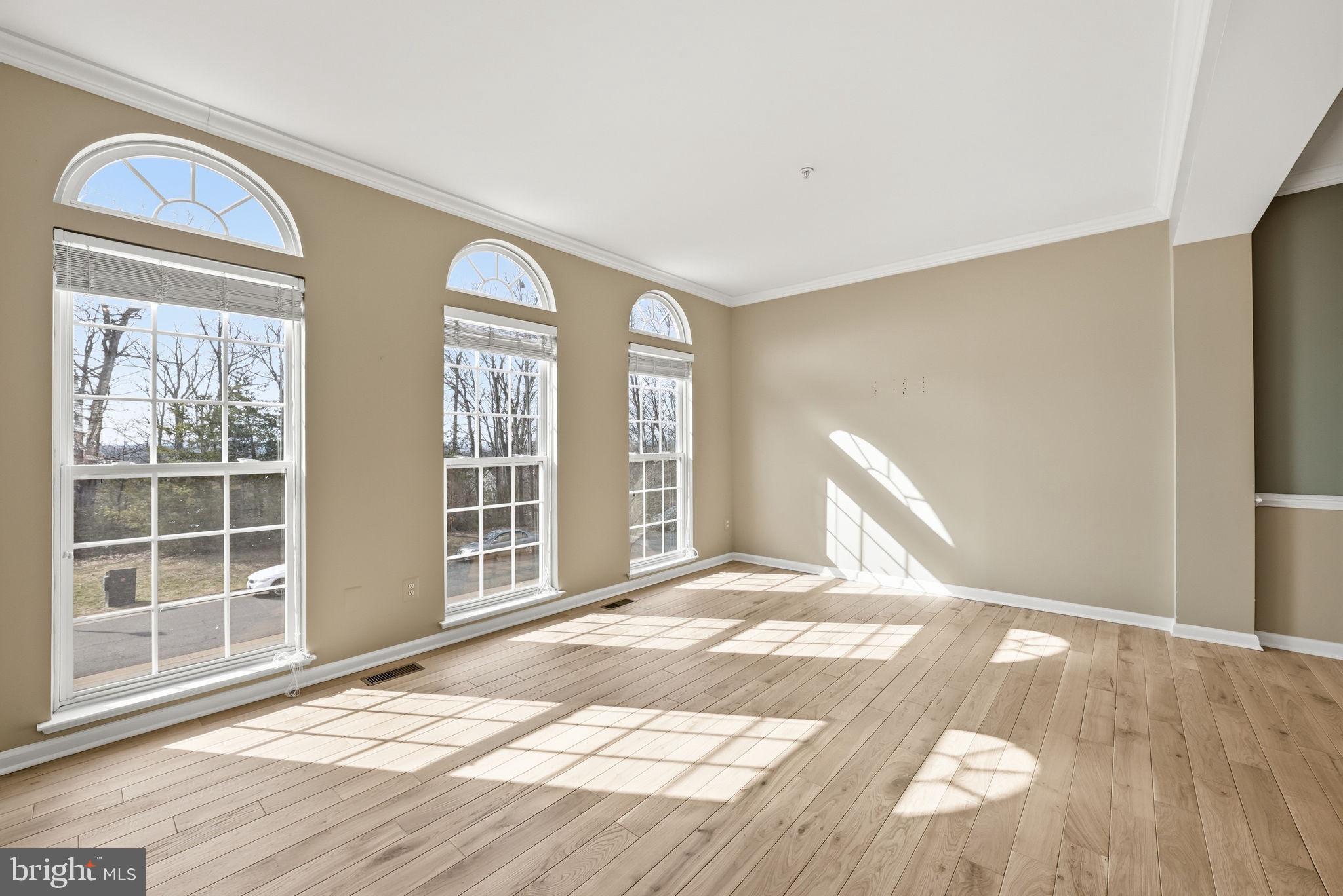 19188 Sweig Terrace Leesburg, VA 20176 - Photo 6 of 58 So much natural light!