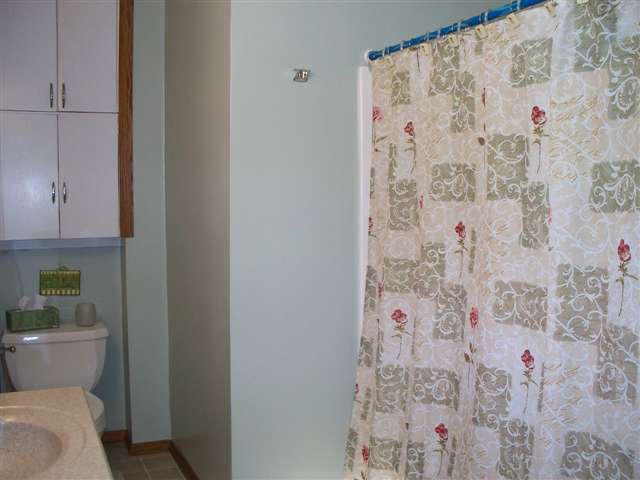 126 North Spring Street Geneseo, IL 61254 - Photo 10 of 12 Gallery Image 10