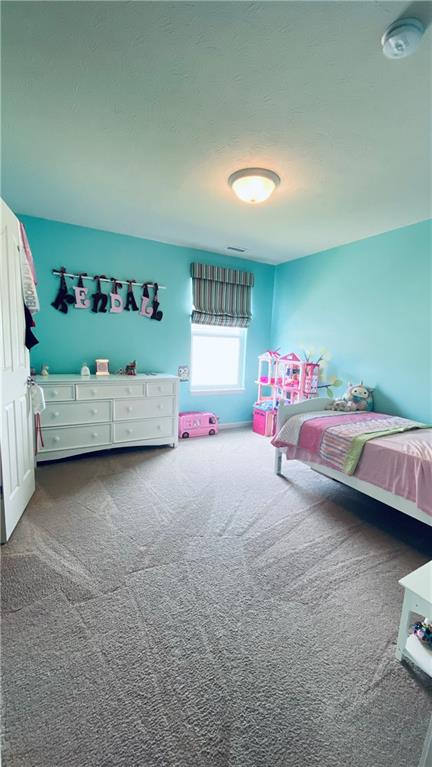 14560 Balfour Road Fishers, IN 46037 - Photo 23 of 31 Gallery Image 23