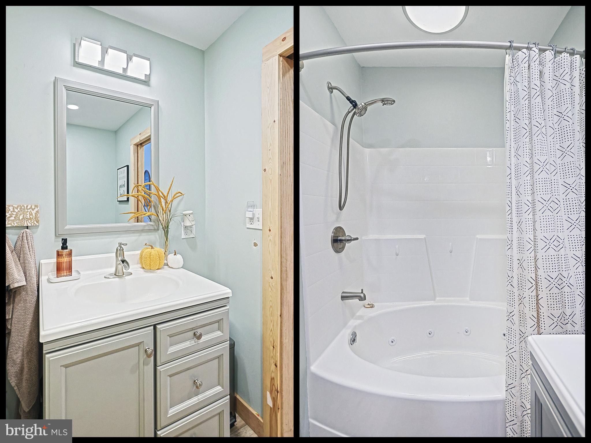 245 Andersontown Road Dover, PA 17315 - Photo 26 of 41 jetted tub