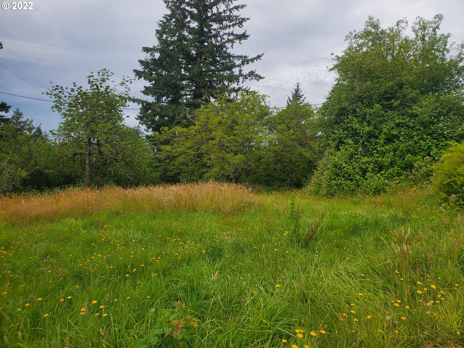 11715 Northwest Old Cornelius Pass Road Portland, OR 97231 - Photo 6 of 9 Gallery Image 6