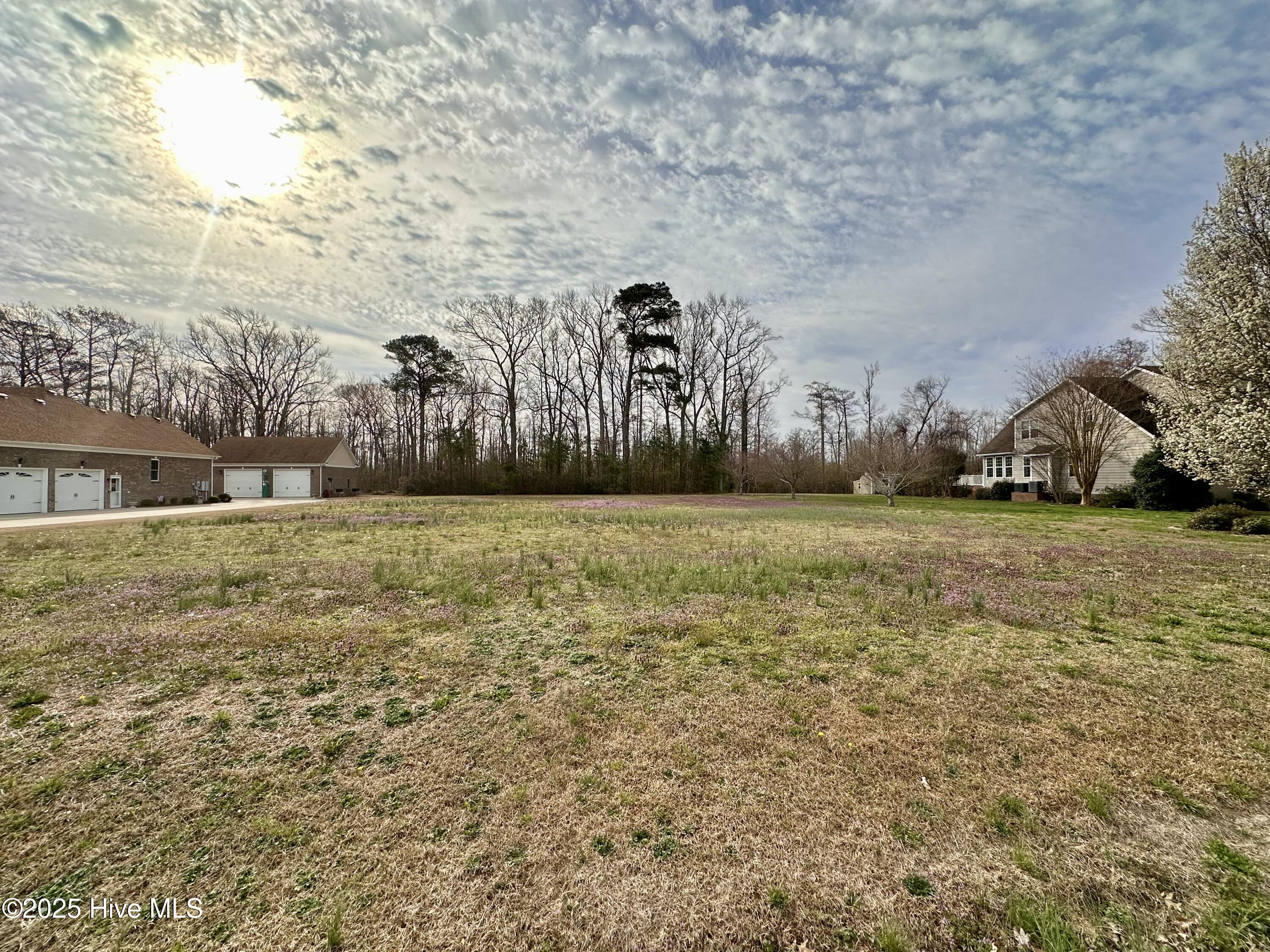 214 Billetts Bridge Road Camden, NC 27921 - Photo 3 of 9 Road Looking Back 1