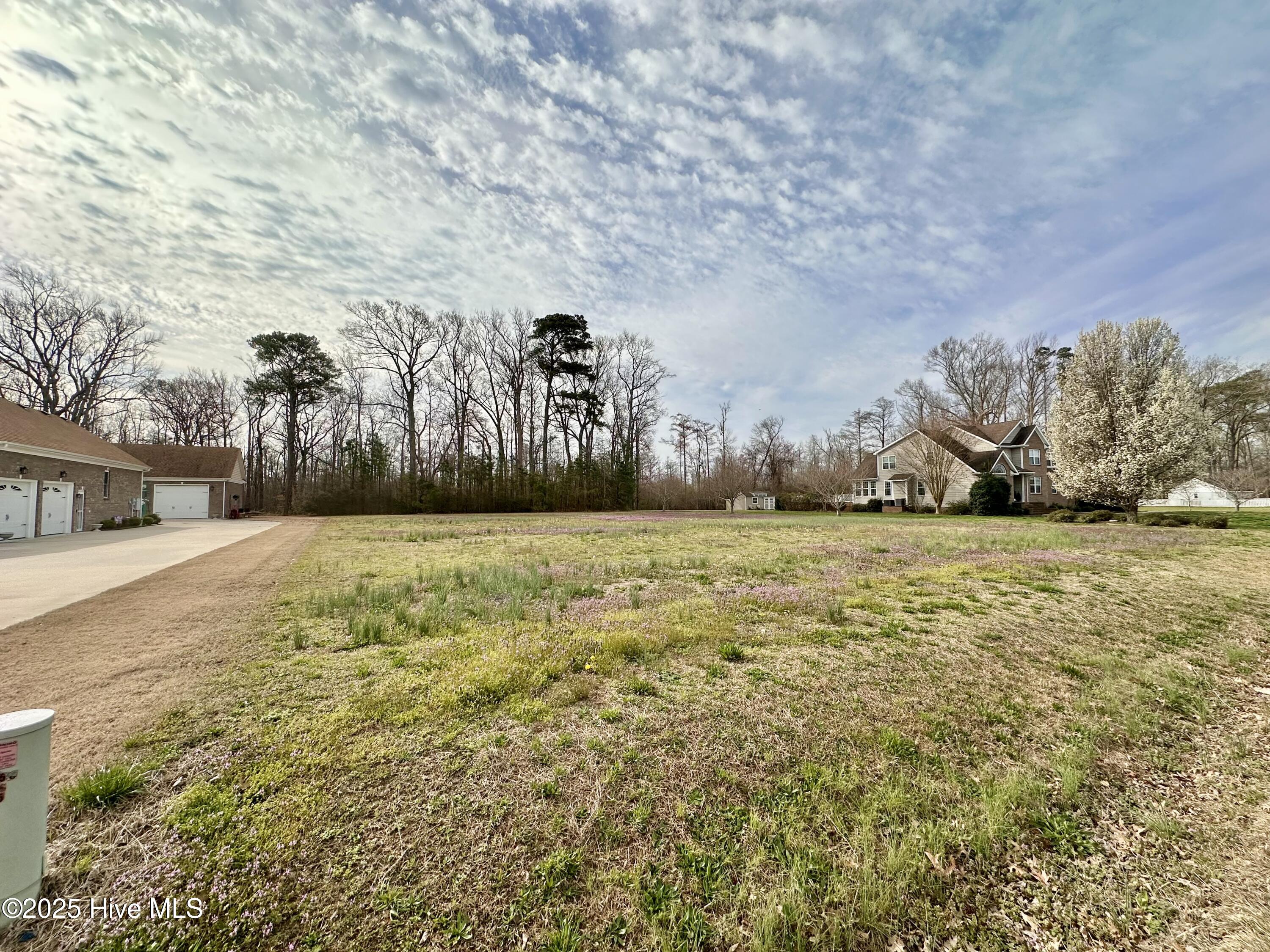 214 Billetts Bridge Road Camden, NC 27921 - Photo 4 of 9 Road Looking to back of lot