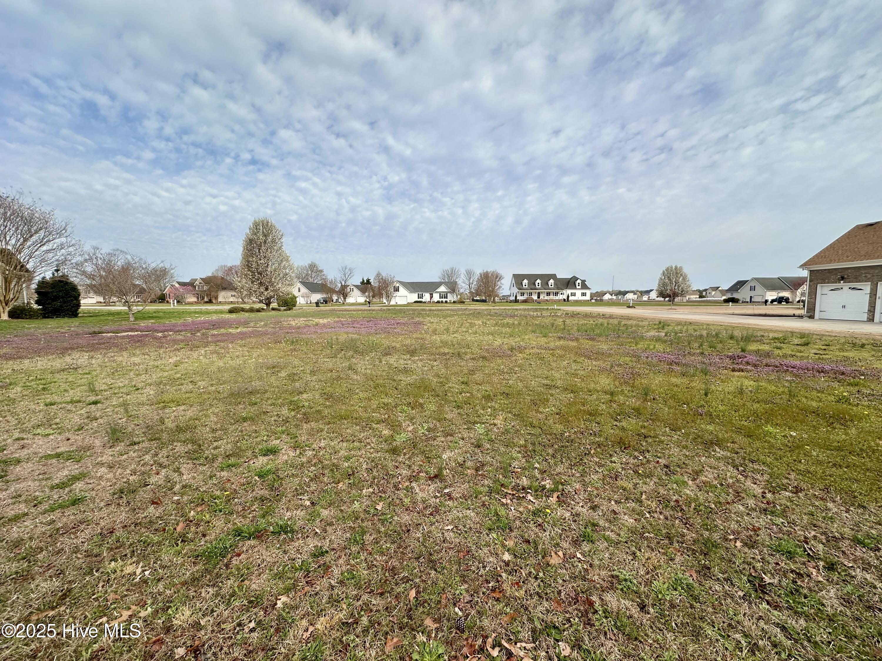 214 Billetts Bridge Road Camden, NC 27921 - Photo 5 of 9 Back of Lot to Road