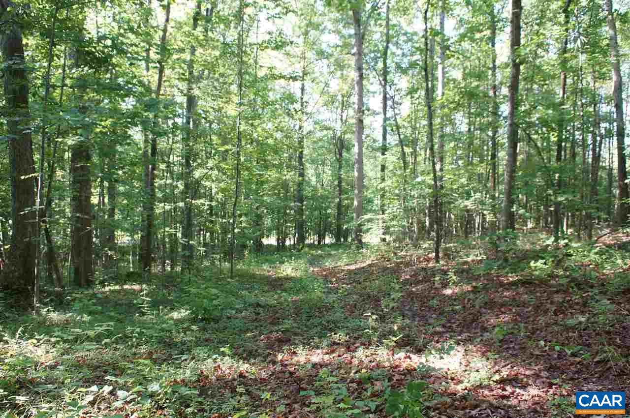 0 Deep Creek Road Palmyra, VA 22963 - Photo 11 of 13 Gallery Image 11