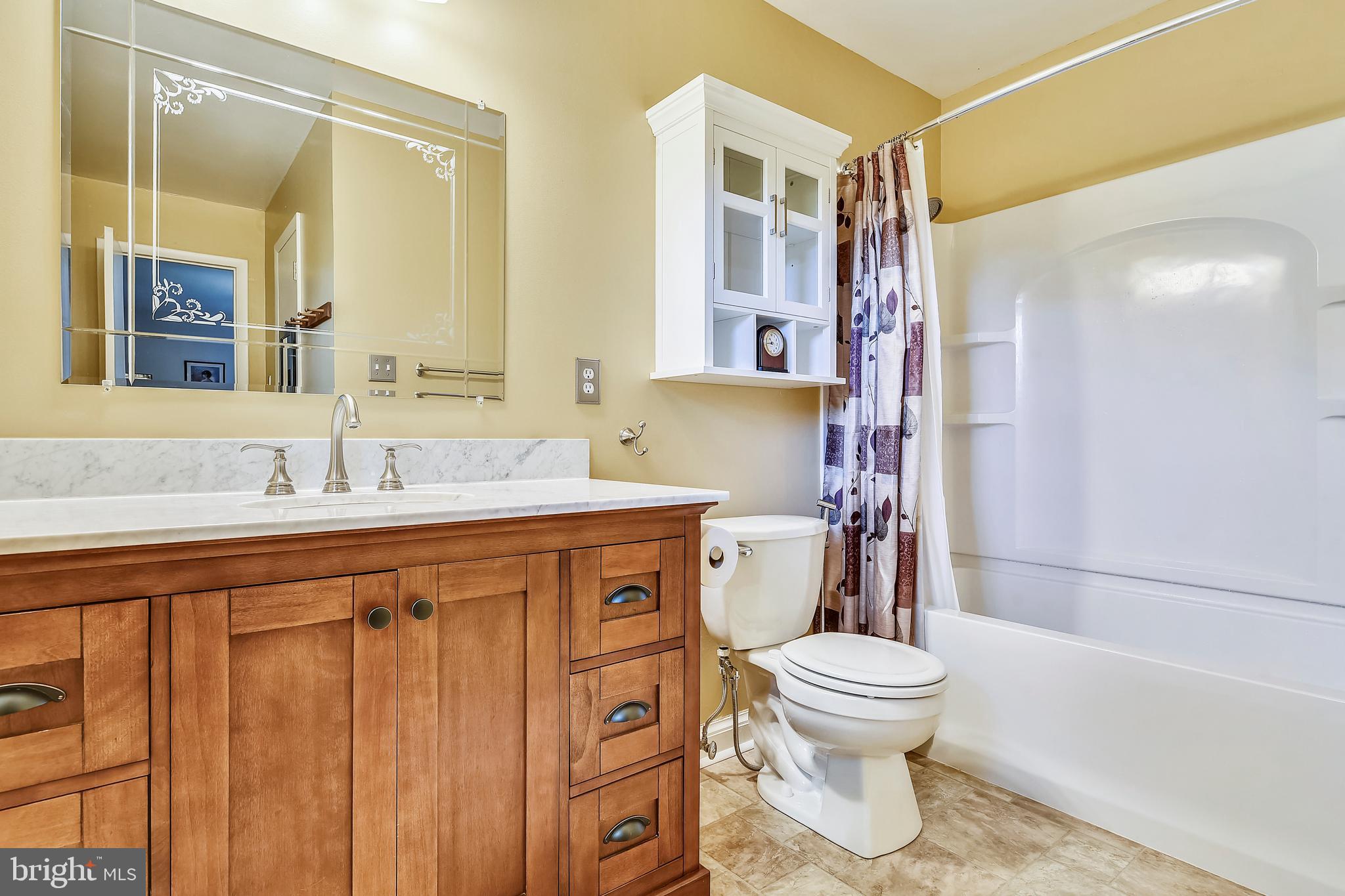 9583 Routts Hill Road Warrenton, VA 20186 - Photo 17 of 36 Master Bathroom with Full Tub and Shower
