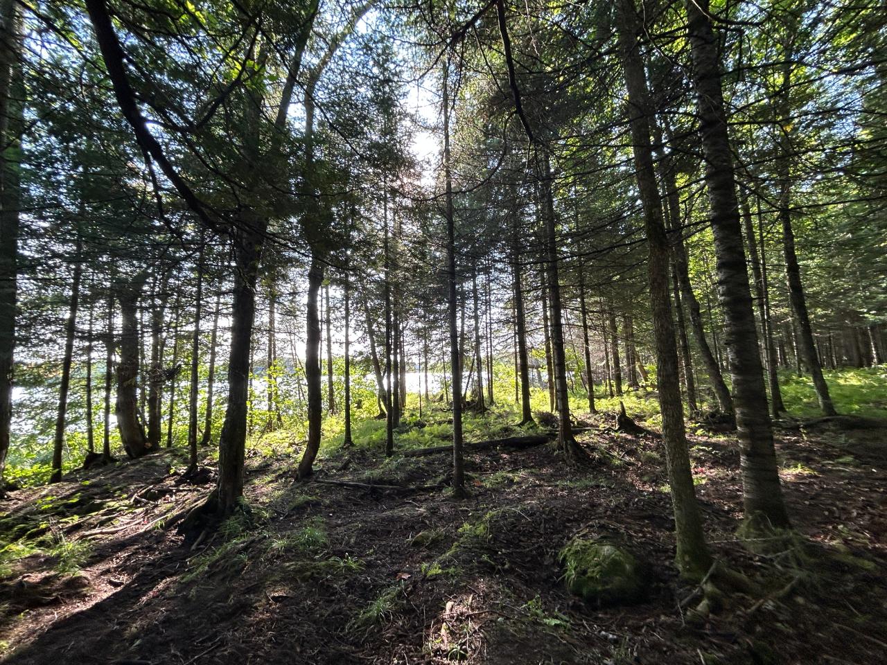 Lot 72 Powderhorn Road Presque Isle, WI 54557 - Photo 4 of 17 Gallery Image 4