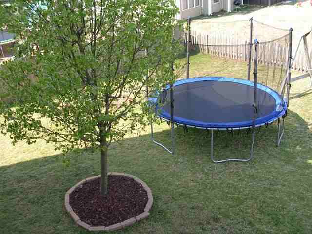 3 Tallin Court Greenville, SC 29607 - Photo 18 of 19 Gallery Image 18