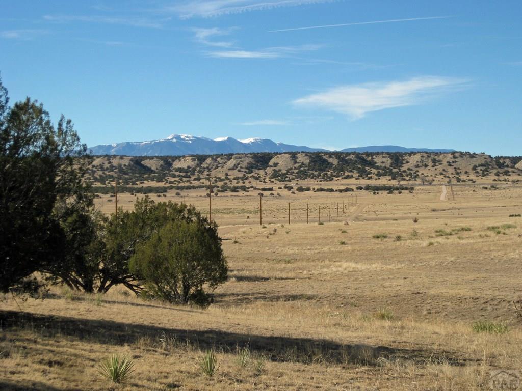 Lot 100 Narrow Gauge Way Rye, CO 81069 - Photo 40 of 42 Gallery Image 40