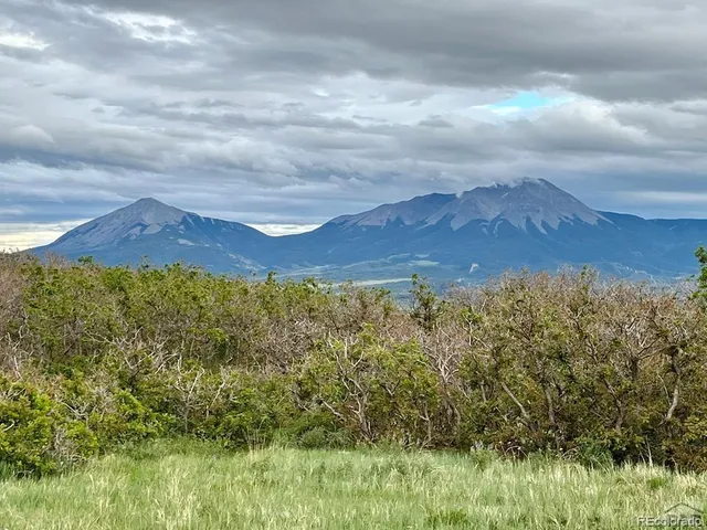 a view of a lush green field
