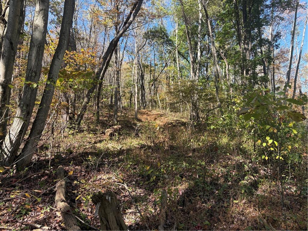 103 Wash Run Road White, PA 15490 - Photo 9 of 35 a view of yard