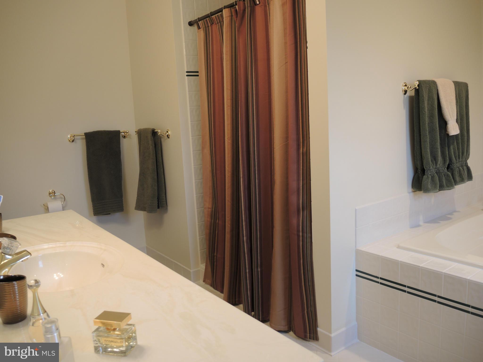 9620 Ridge View Drive Marshall, VA 20115 - Photo 20 of 30 Bath (Master)