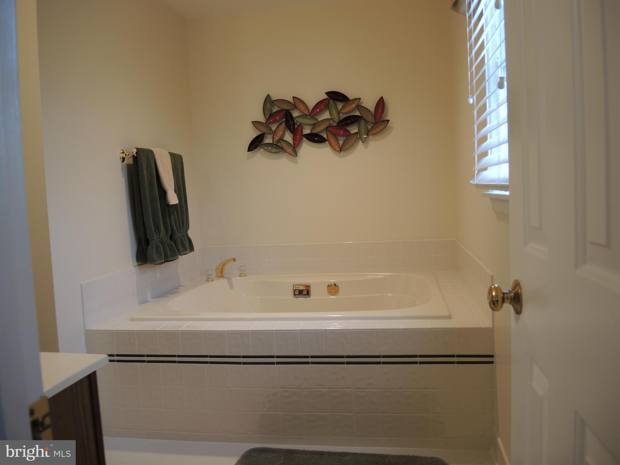 9620 Ridge View Drive Marshall, VA 20115 - Photo 21 of 30 Oversized Whirlpool Bathtub