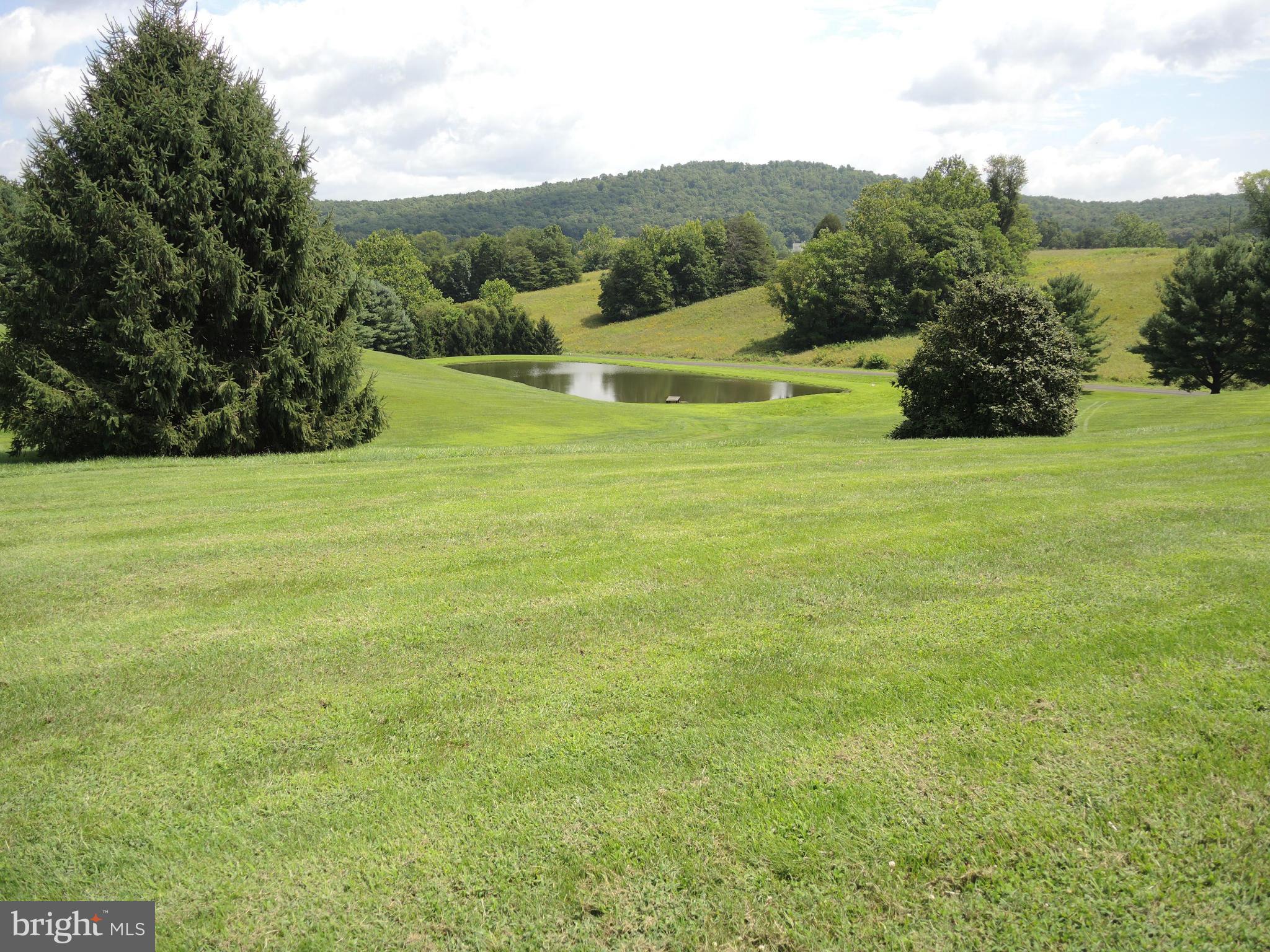 9620 Ridge View Drive Marshall, VA 20115 - Photo 5 of 30 Pond View