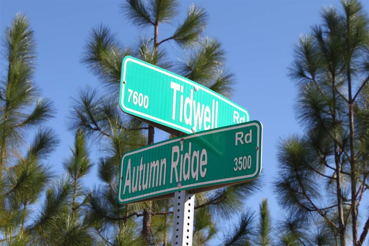 Lot 23 Tidwell Road Pace, FL 32571 - Photo 4 of 5