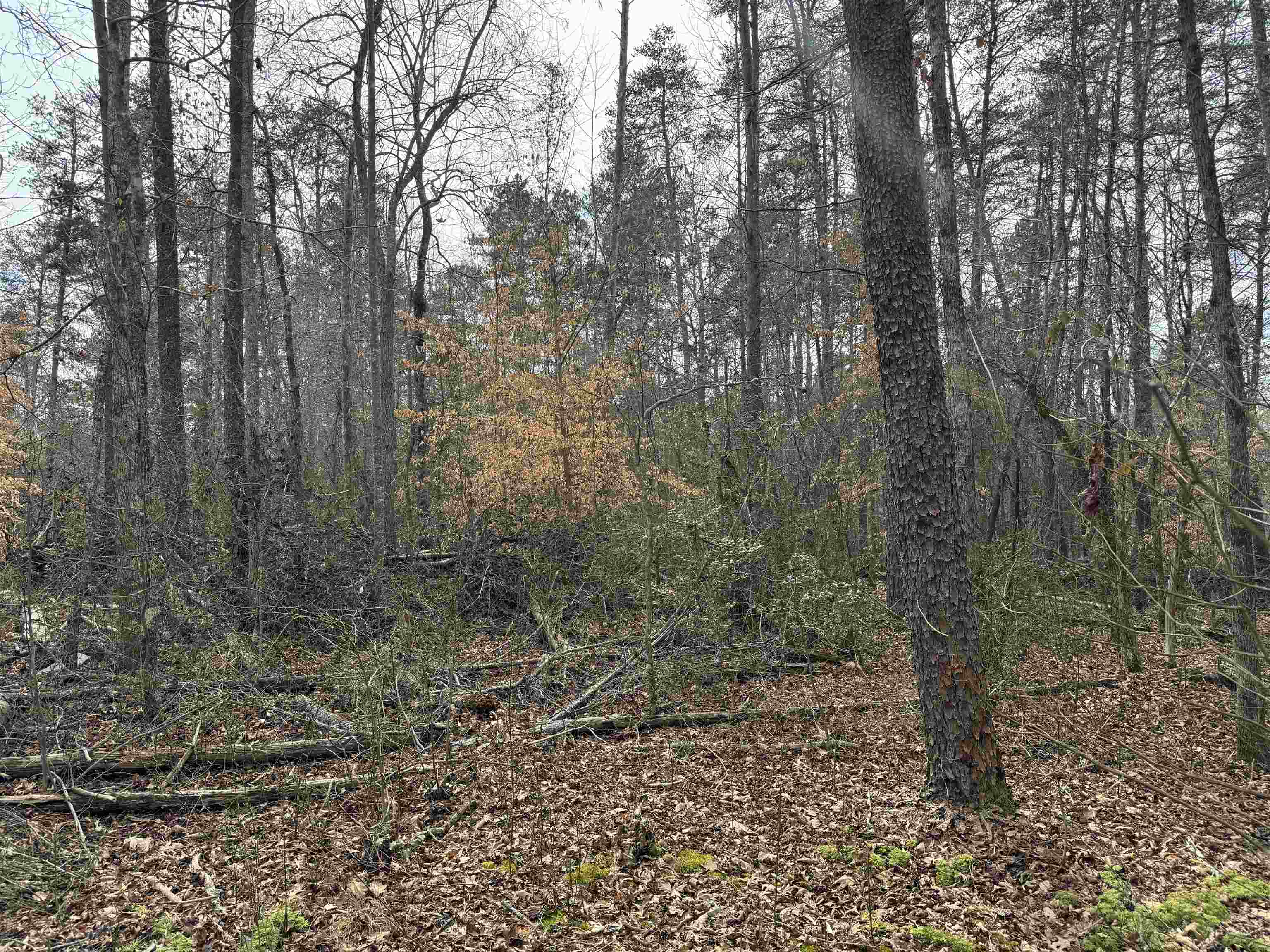 289 Wynette Way Inman, SC 29349 - Photo 2 of 4