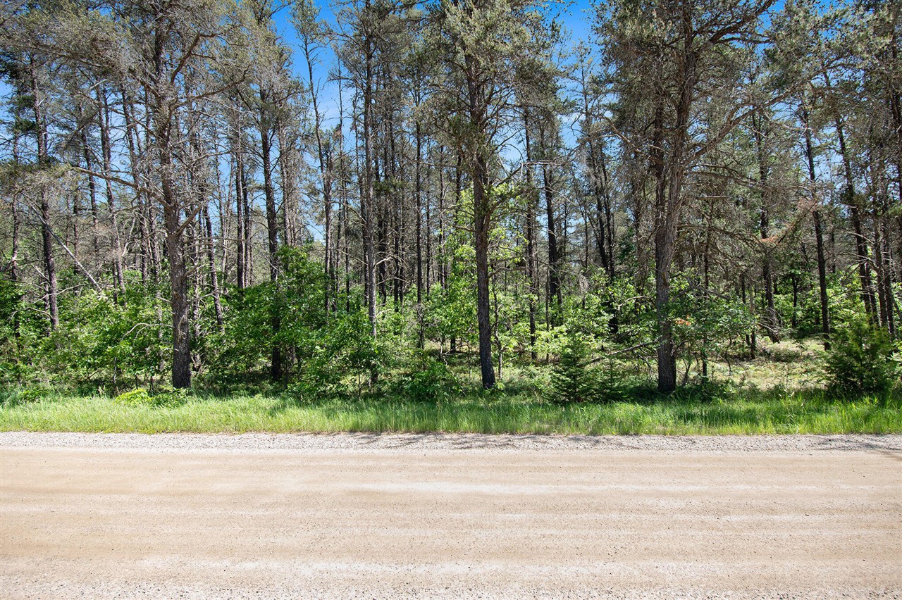 V/l(2.07-a) Deep Wood Road St. Helen, MI 48656 - Photo 2 of 20