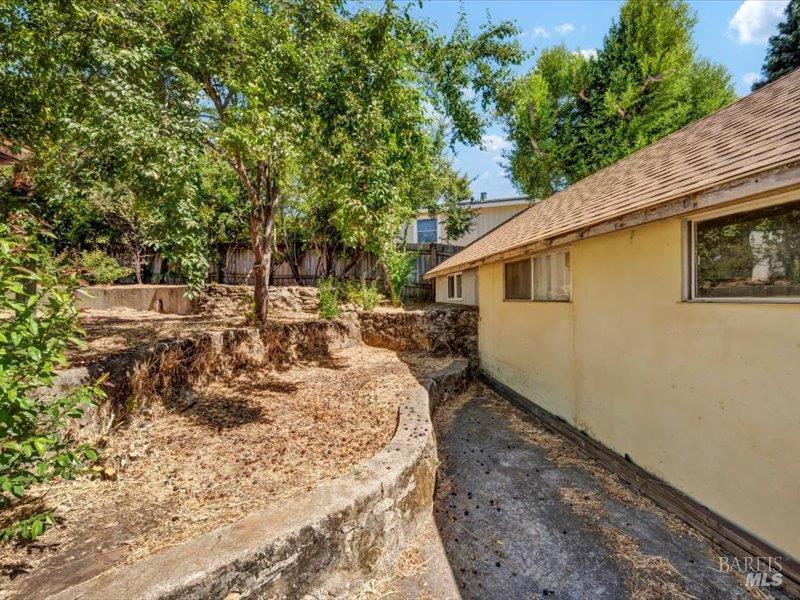 315 White Cottage Road North Angwin, CA 94508 - Photo 29 of 36 a view of a backyard with tree
