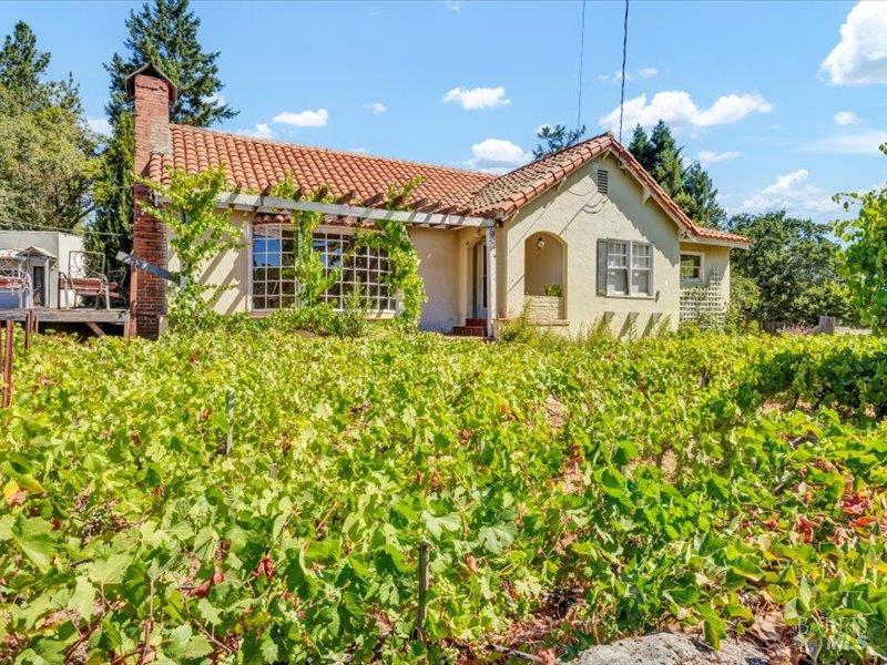 315 White Cottage Road North Angwin, CA 94508 - Photo 4 of 36 a view of a white house with a large window and potted plants