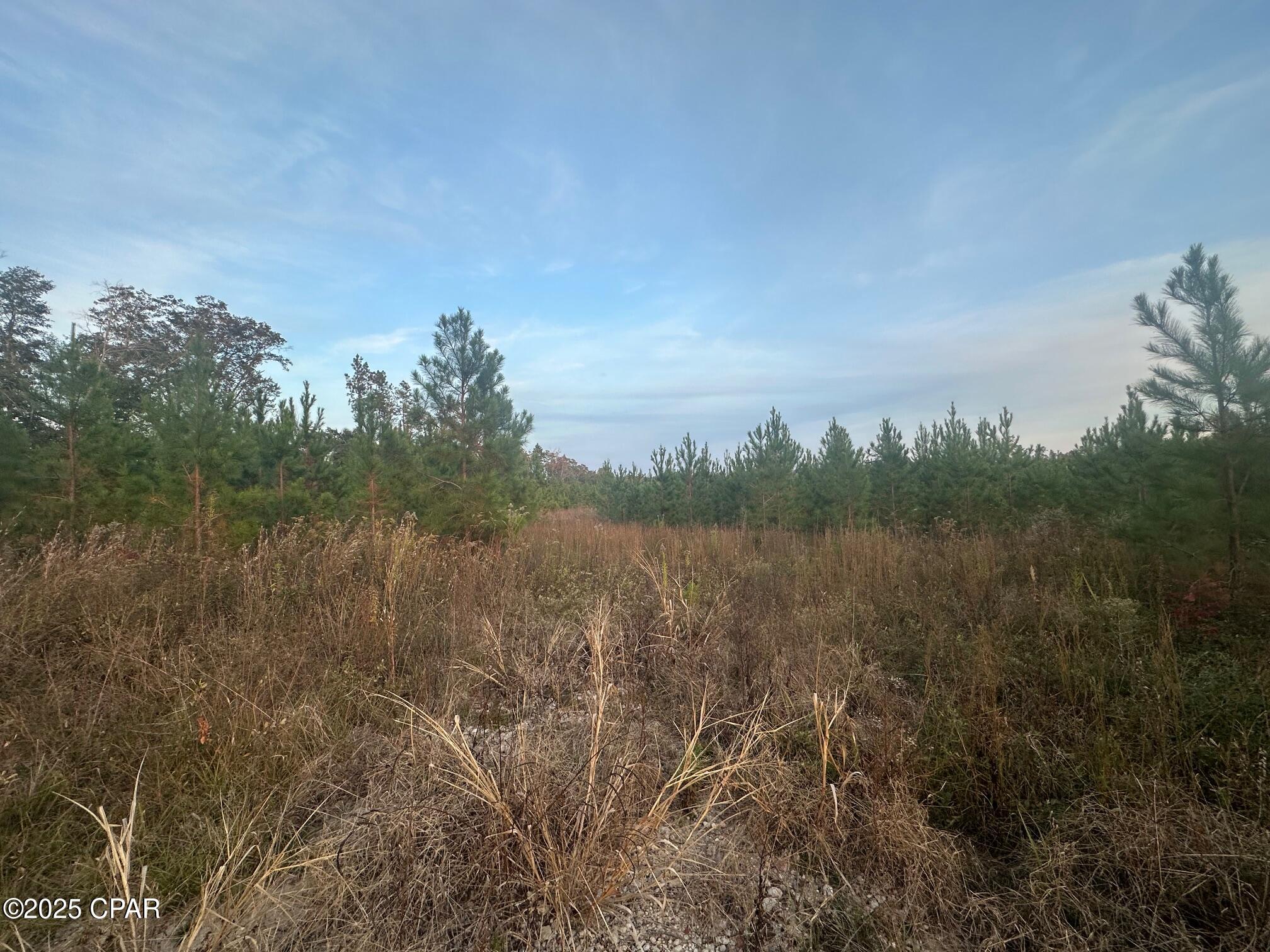 0 Bright Prospect Road Marianna, FL 32448 - Photo 6 of 10