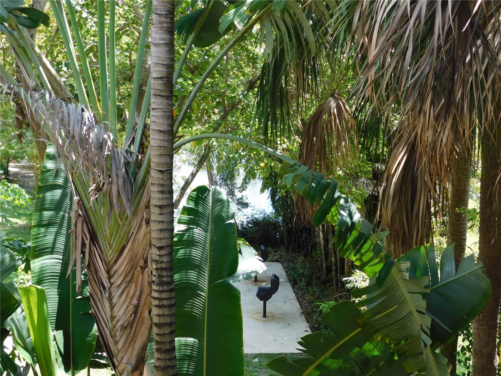 741 North Pine Island Road, Unit 307 Plantation, FL 33324 - Photo 14 of 18 Photo 14