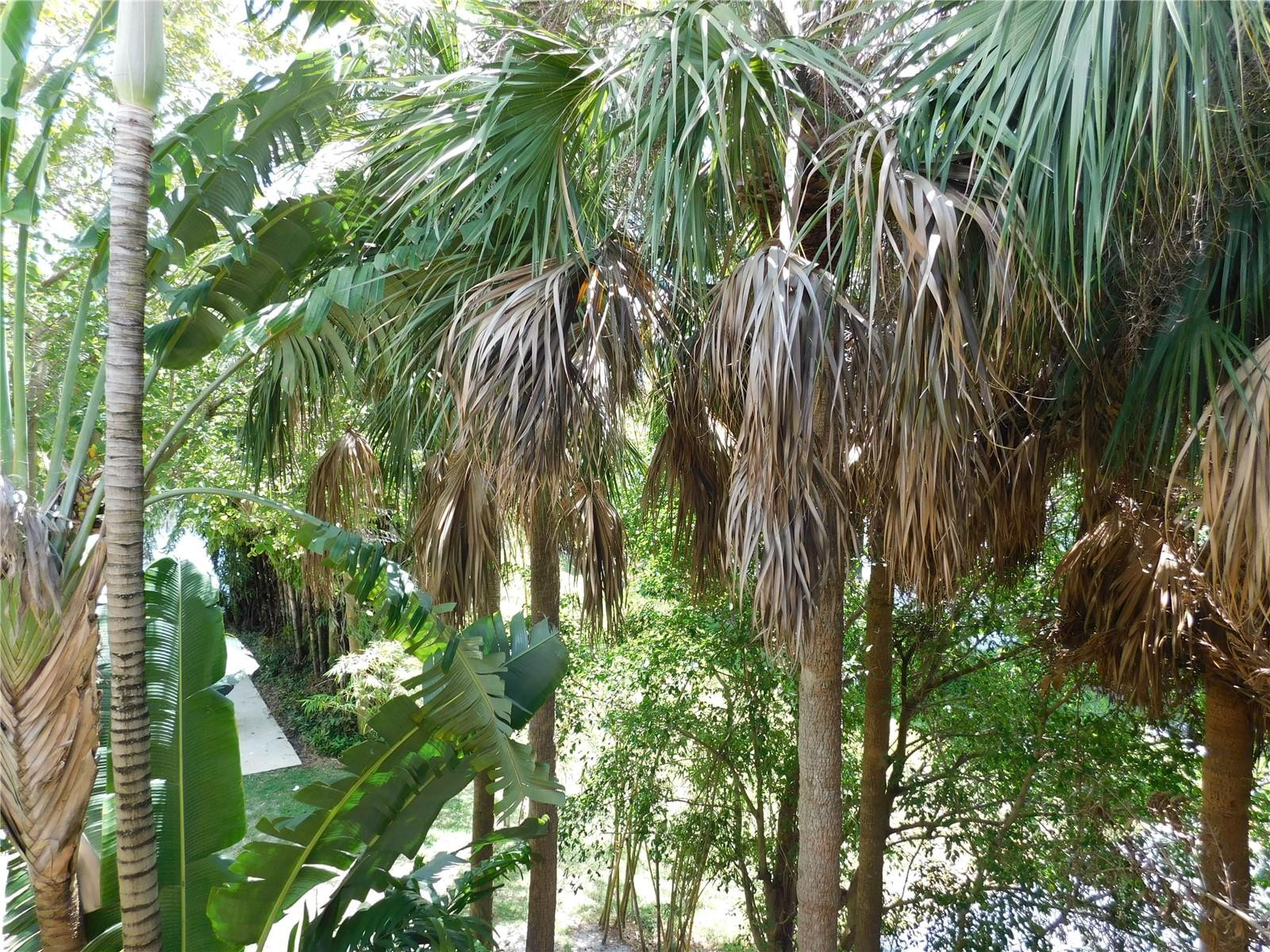 741 North Pine Island Road, Unit 307 Plantation, FL 33324 - Photo 15 of 18 Photo 15