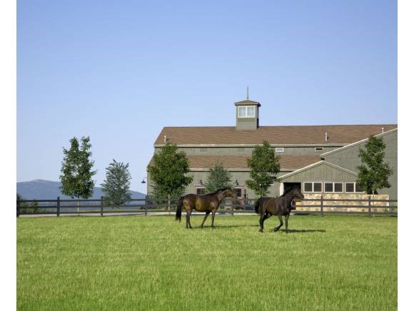 16 Burke Road Peterborough, NH 03458 - Photo 2 of 15