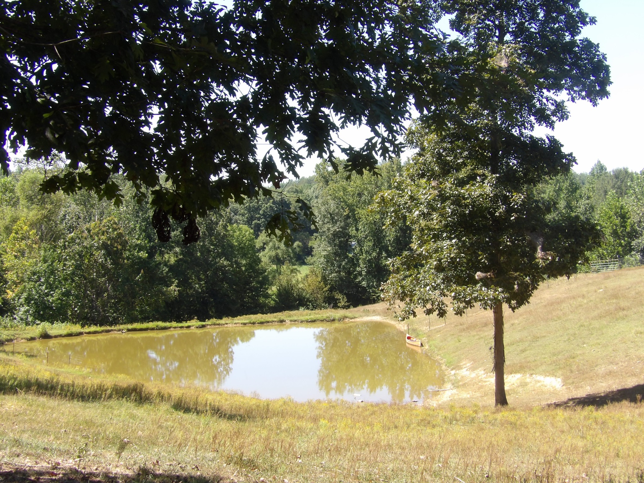 2719 McKenzie Road Parsons, TN 38363 - Photo 56 of 59 Gallery Image 56